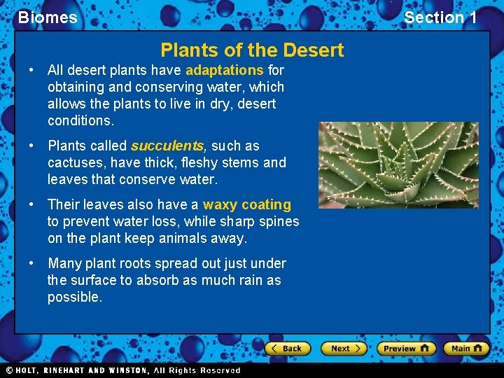 Biomes Section 1 Plants of the Desert • All desert plants have adaptations for