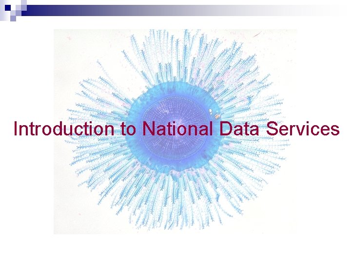 Introduction to National Data Services 