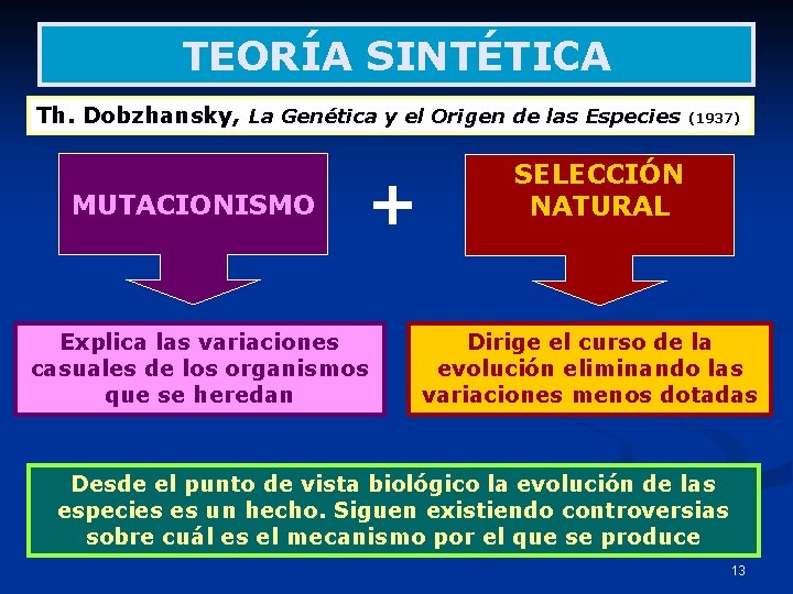 TEORÍA SINTÉTICA Th. Dobzhansky, La Genética y el Origen de las Especies MUTACIONISMO +