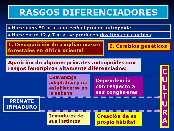 RASGOS DIFERENCIADORES • Hace unos 30 m. a. apareció el primer antropoide • Hace