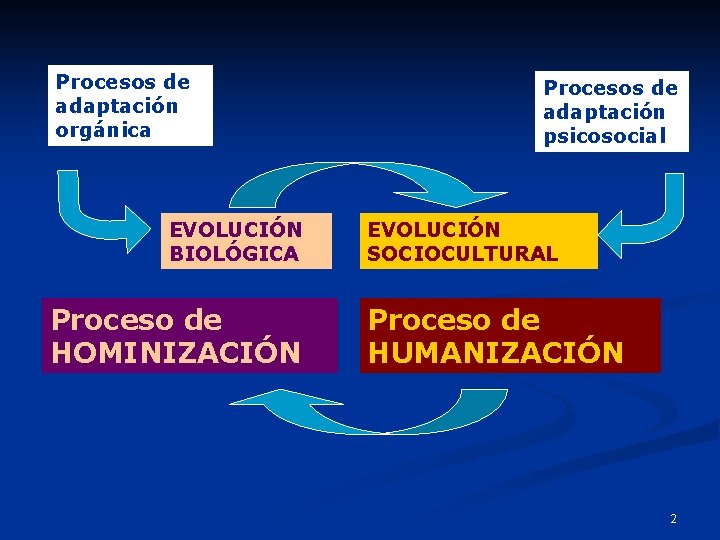 Procesos de adaptación orgánica EVOLUCIÓN BIOLÓGICA Proceso de HOMINIZACIÓN Procesos de adaptación psicosocial EVOLUCIÓN