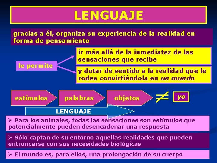 LENGUAJE gracias a él, organiza su experiencia de la realidad en forma de pensamiento