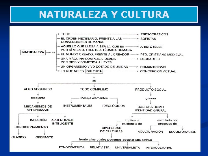 NATURALEZA Y CULTURA 35 