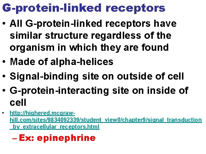 G-protein-linked receptors • All G-protein-linked receptors have similar structure regardless of the organism in