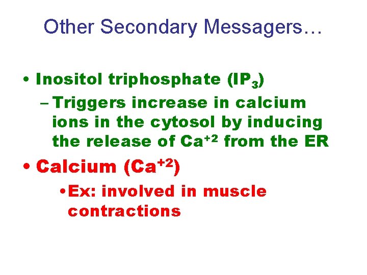 Other Secondary Messagers… • Inositol triphosphate (IP 3) – Triggers increase in calcium ions