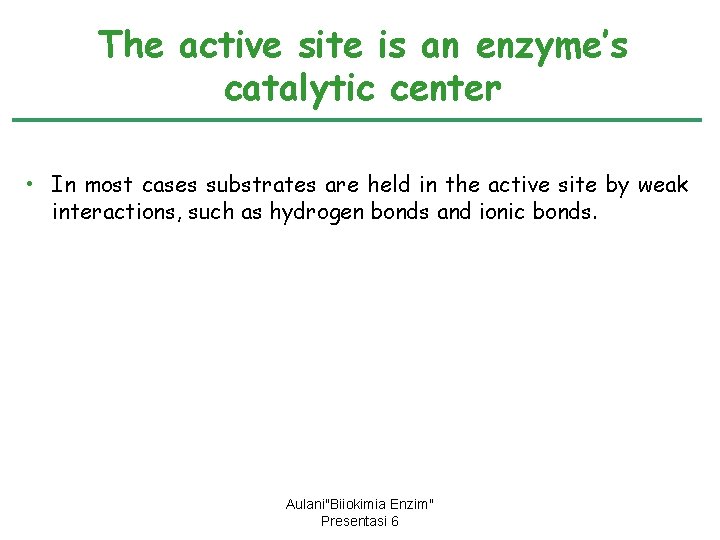 The active site is an enzyme’s catalytic center • In most cases substrates are