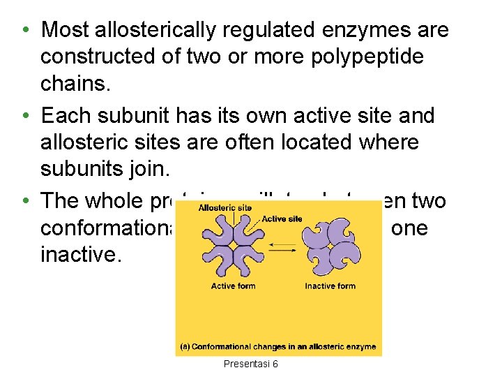  • Most allosterically regulated enzymes are constructed of two or more polypeptide chains.