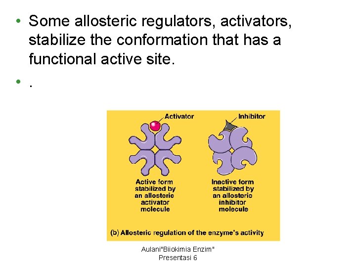  • Some allosteric regulators, activators, stabilize the conformation that has a functional active