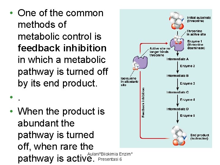  • One of the common methods of metabolic control is feedback inhibition in