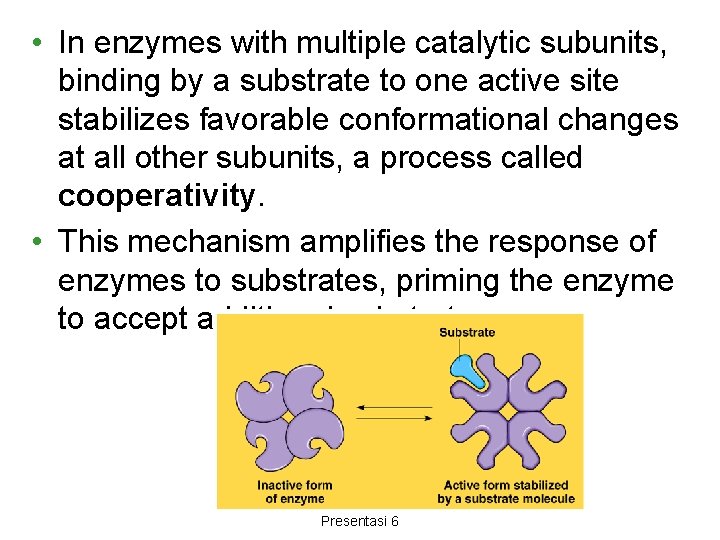  • In enzymes with multiple catalytic subunits, binding by a substrate to one
