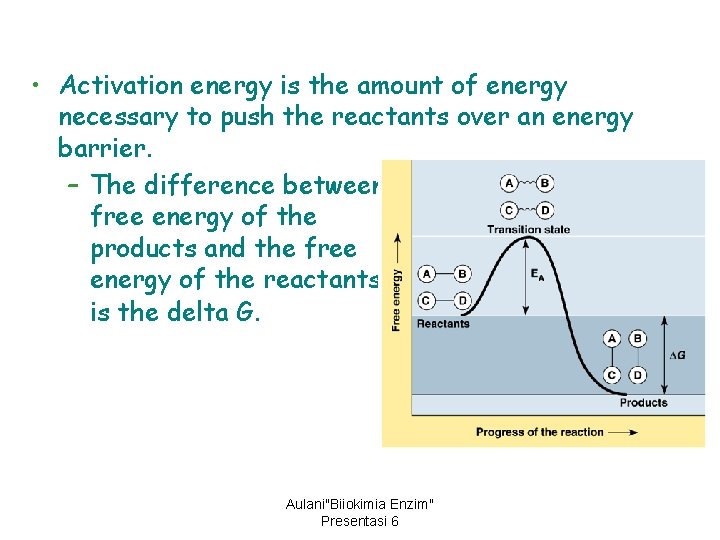  • Activation energy is the amount of energy necessary to push the reactants