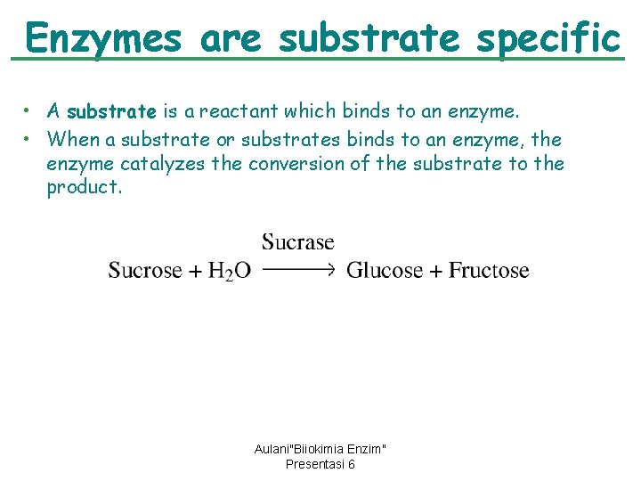 Enzymes are substrate specific • A substrate is a reactant which binds to an