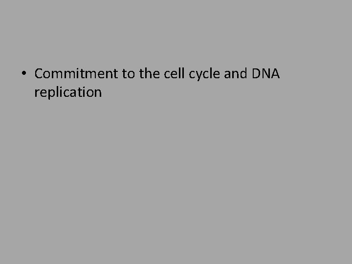  • Commitment to the cell cycle and DNA replication 