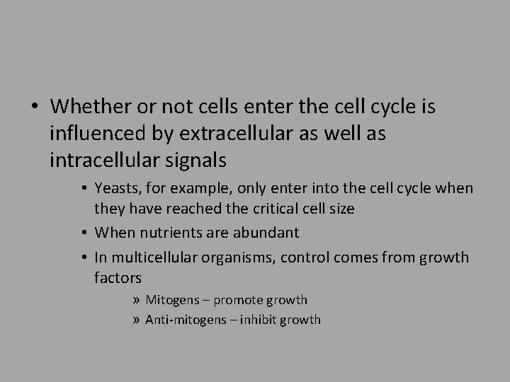  • Whether or not cells enter the cell cycle is influenced by extracellular
