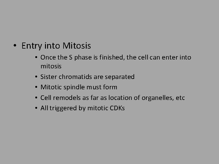  • Entry into Mitosis • Once the S phase is finished, the cell