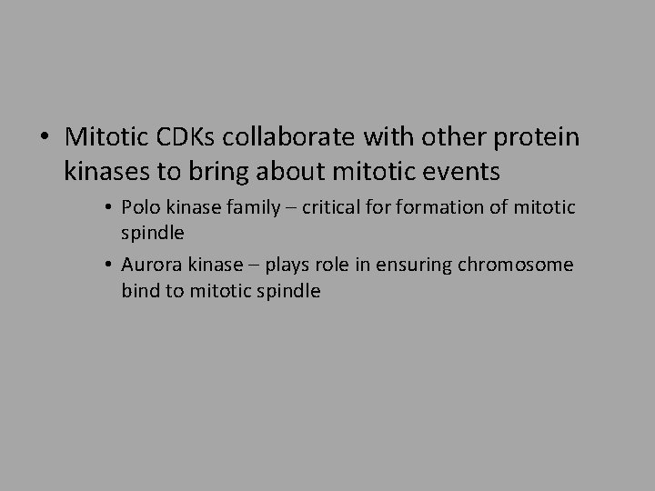  • Mitotic CDKs collaborate with other protein kinases to bring about mitotic events