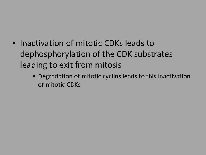  • Inactivation of mitotic CDKs leads to dephosphorylation of the CDK substrates leading