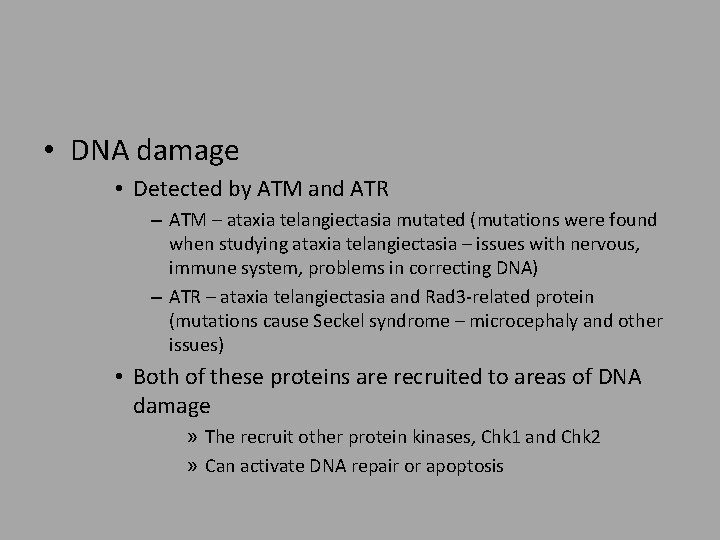  • DNA damage • Detected by ATM and ATR – ATM – ataxia