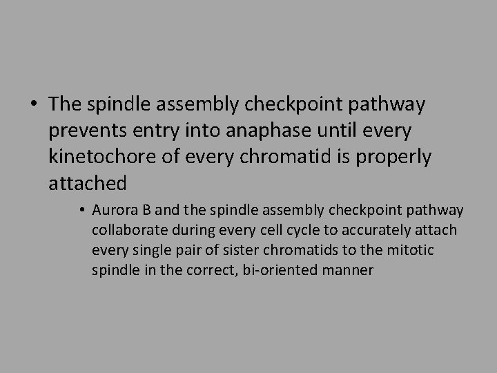  • The spindle assembly checkpoint pathway prevents entry into anaphase until every kinetochore