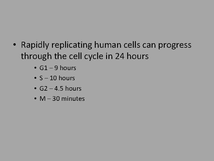  • Rapidly replicating human cells can progress through the cell cycle in 24