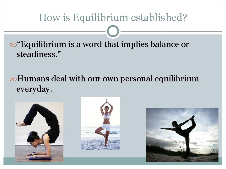 How is Equilibrium established? “Equilibrium is a word that implies balance or steadiness. ”