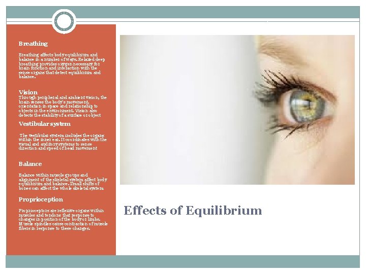 Breathing affects body equilibrium and balance in a number of ways. Relaxed deep breathing