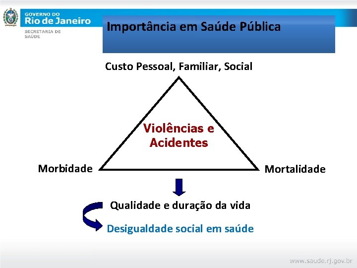 Importância em Saúde Pública Custo Pessoal, Familiar, Social Violências e Acidentes Morbidade Mortalidade Qualidade