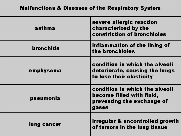 Malfunctions & Diseases of the Respiratory System asthma bronchitis severe allergic reaction characterized by
