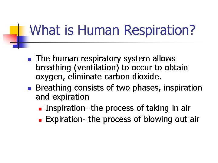 What is Human Respiration? n n The human respiratory system allows breathing (ventilation) to
