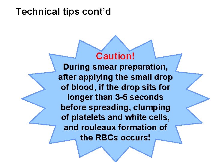 Technical tips cont’d Caution! During smear preparation, after applying the small drop of blood,