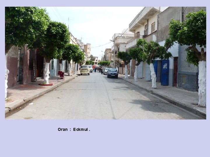 Oran : Eckmul. 