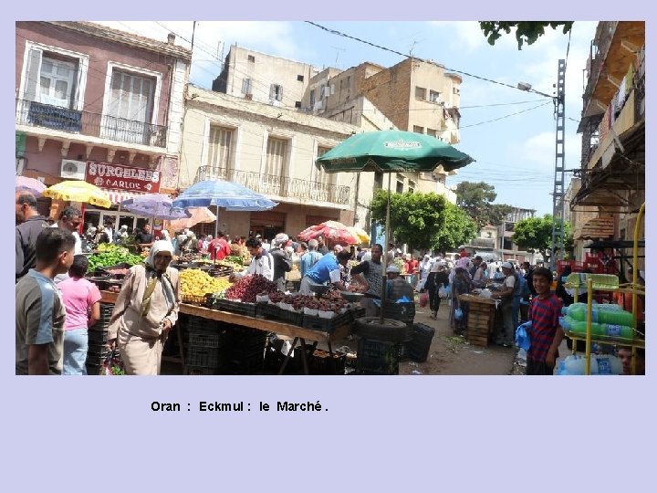 Oran : Eckmul : le Marché. 