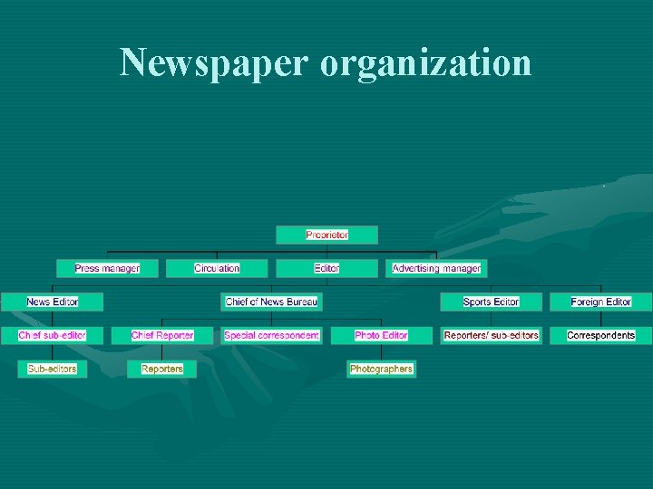 Newspaper organization 