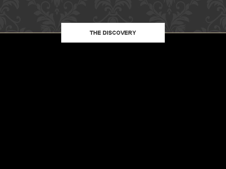 THE DISCOVERY 