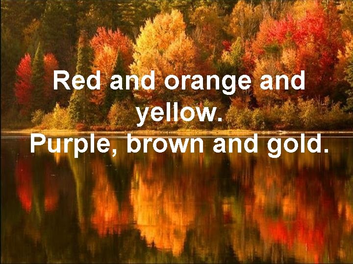 Red and orange and yellow. Purple, brown and gold. 