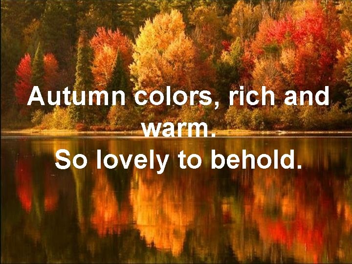 Autumn colors, rich and warm. So lovely to behold. 