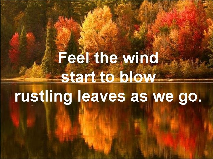 Feel the wind start to blow rustling leaves as we go. 