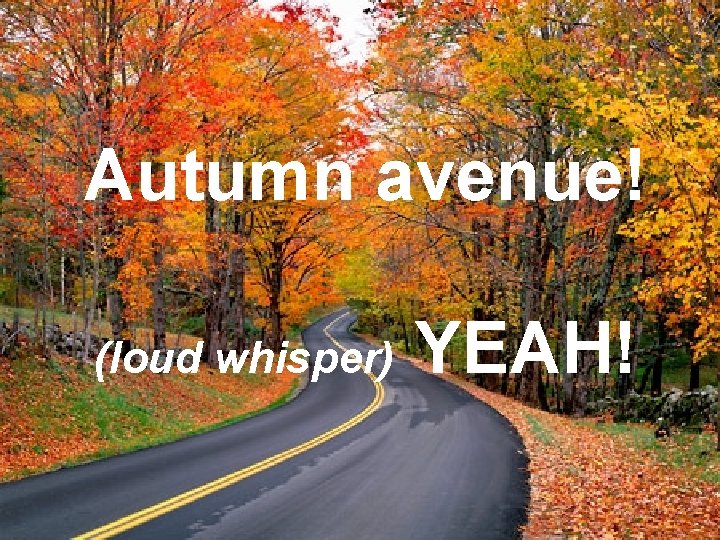 Autumn avenue! (loud whisper) YEAH! 