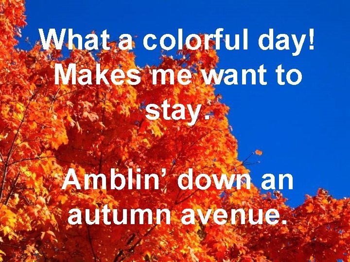 What a colorful day! Makes me want to stay. Amblin’ down an autumn avenue.