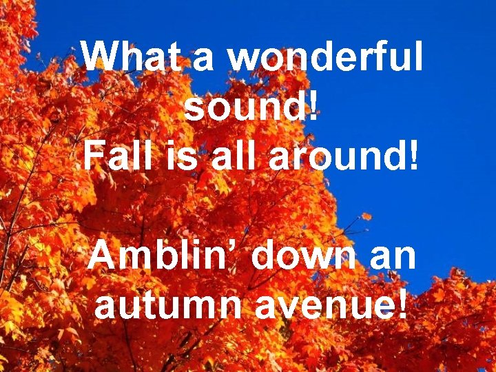 What a wonderful sound! Fall is all around! Amblin’ down an autumn avenue! 