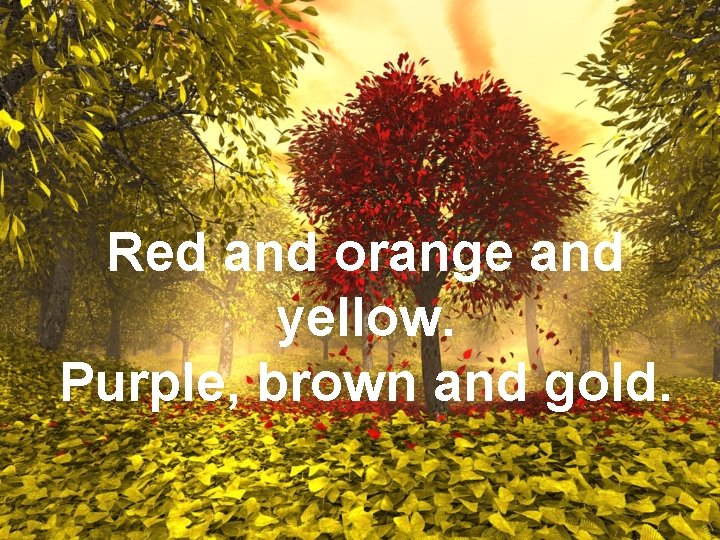 Red and orange and yellow. Purple, brown and gold. 