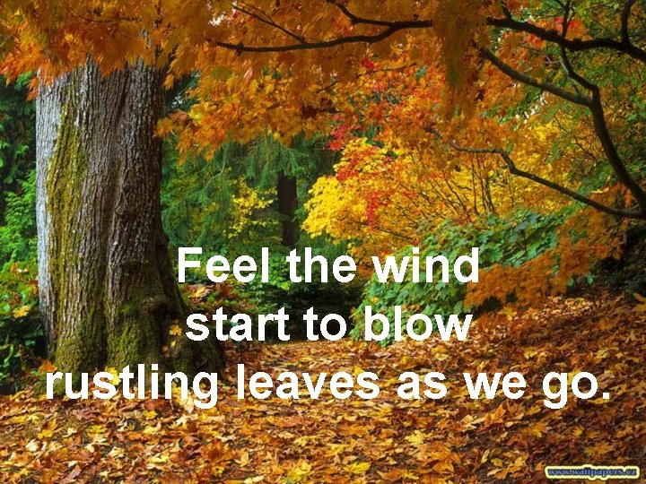 Feel the wind start to blow rustling leaves as we go. 