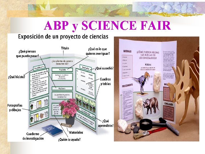 ABP y SCIENCE FAIR 