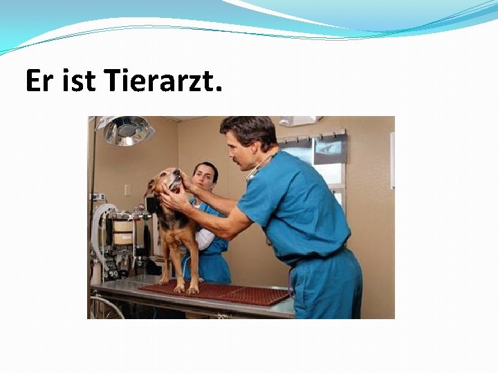 Er ist Tierarzt. 