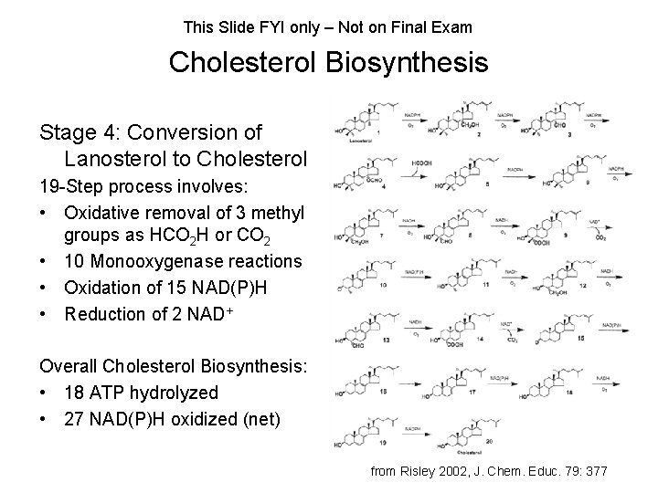 This Slide FYI only – Not on Final Exam Cholesterol Biosynthesis Stage 4: Conversion