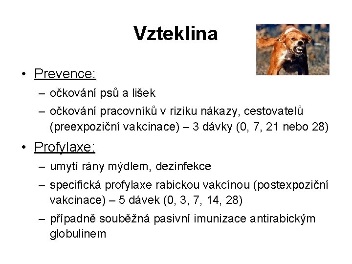 Vzteklina • Prevence: – očkování psů a lišek – očkování pracovníků v riziku nákazy,