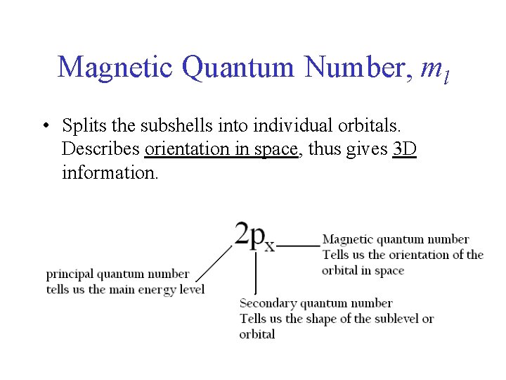Magnetic Quantum Number, ml • Splits the subshells into individual orbitals. Describes orientation in