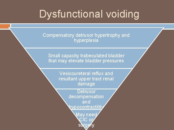 Dysfunctional voiding Compensatory detrusor hypertrophy and hyperplasia Small capacity trabeculated bladder that may elevate