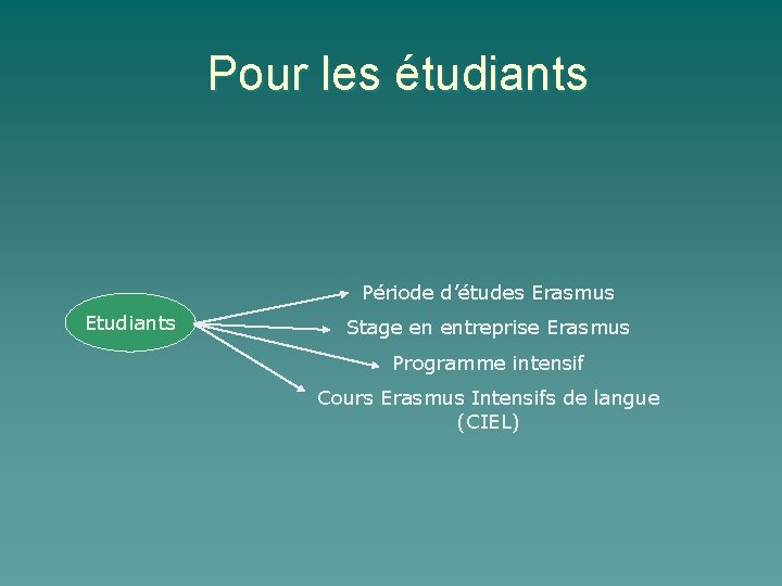 Pour les étudiants Période d’études Erasmus Etudiants Stage en entreprise Erasmus Programme intensif Cours