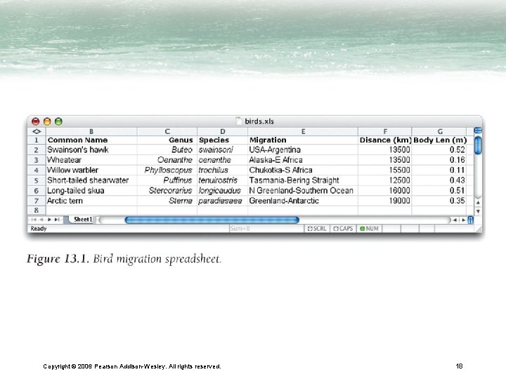 Copyright © 2006 Pearson Addison-Wesley. All rights reserved. 18 